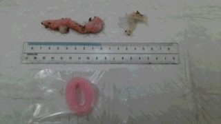 thumbnail_DSC_6343.jpg