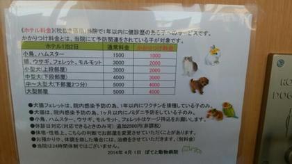 20140401_132533.jpg