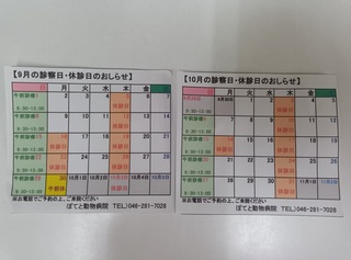 240905112619474 (1).JPG