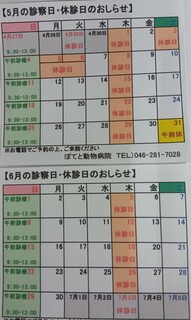250502011648926.JPG