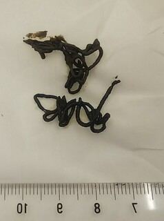 IMG_20230307_014521.jpg