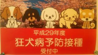 thumbnail_20170303_213122.jpg