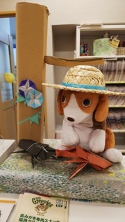 thumbnail_DSC_0233.jpg