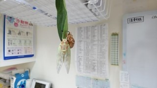 thumbnail_DSC_0276.jpg